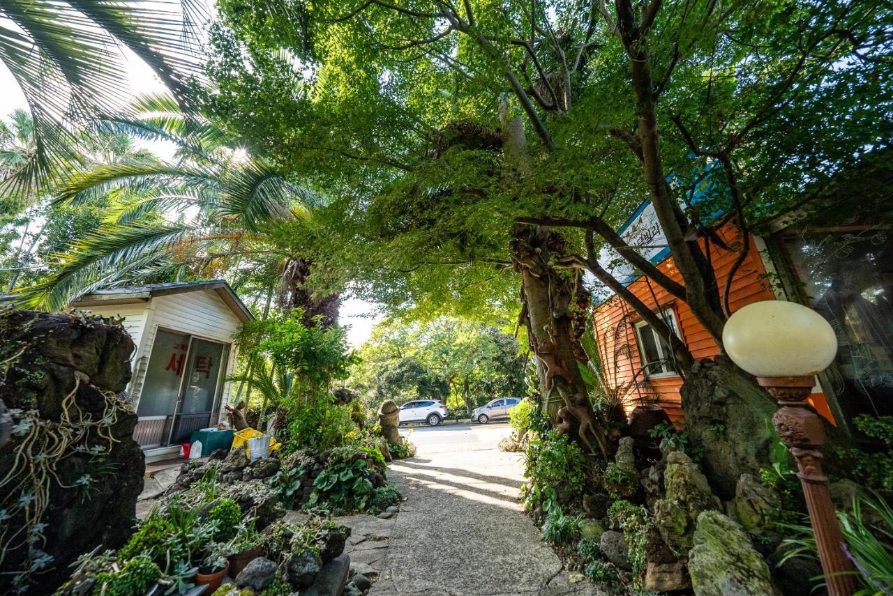 Valley Village Seogwipo Extérieur photo